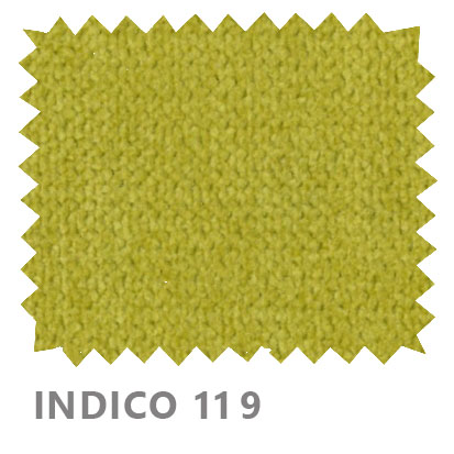 Indico 119